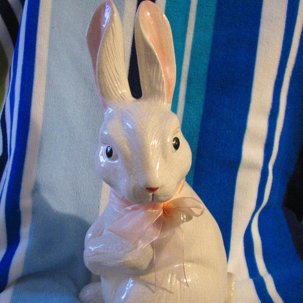Bunny Rabbit